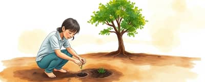 The Investor's Mindset: Cultivating Growth and Opportunity